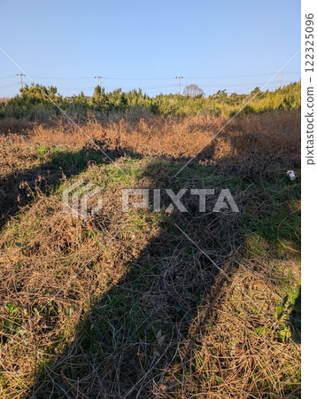 場和陰影的照片 122325096