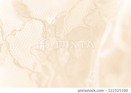 Lace/Beautiful background material 122325100