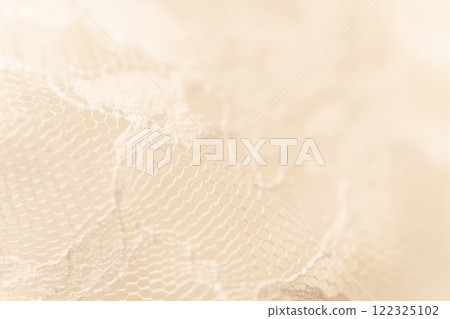 Lace/Beautiful background material 122325102