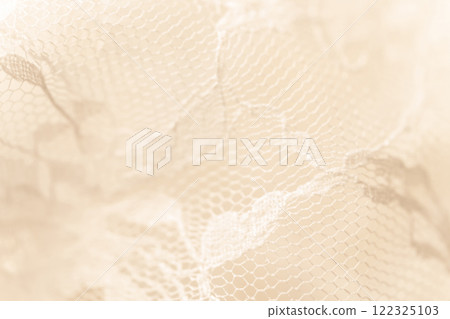 Lace/Beautiful background material 122325103