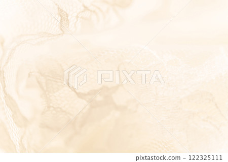 Lace/Beautiful background material 122325111