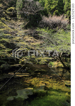 Yamabushi water source Yamabushi water source 122325183
