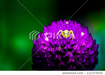 Kao~小行星上的外星人~ Kao~小行星上的外星人~ 122325630