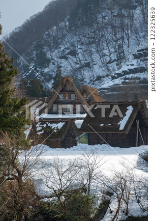 Toyama Prefecture, Gokayama Suganuma Gassho-style Village, Winter 122325639