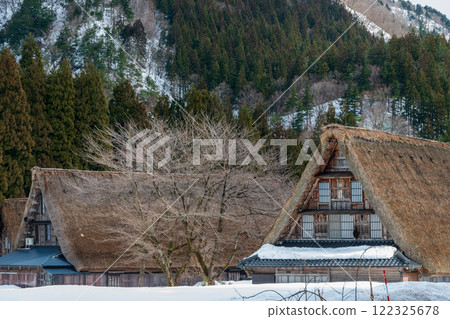 Toyama Prefecture, Gokayama Suganuma Gassho-style Village, Winter Toyama Prefecture, Gokayama Suganuma Gassho-style Village, Winter 122325678