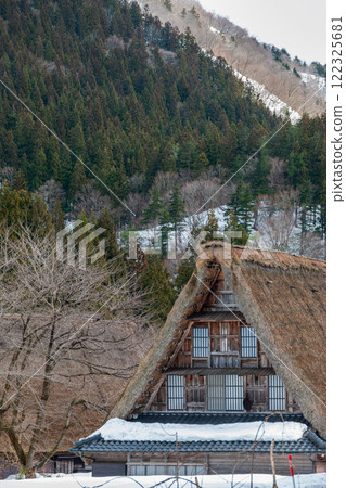 Toyama Prefecture, Gokayama Suganuma Gassho-style Village, Winter Toyama Prefecture, Gokayama Suganuma Gassho-style Village, Winter 122325681