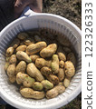 peanuts  122326333