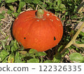 Kanayama Pumpkin 122326335