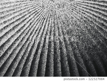 Concrete wall line texture Architecture details  122327084