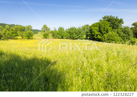 countryside landscape with green field in summer. alpine scenery with lush grassy meadow in carpathian mountain range of ukraine. forested rolling hills in the distance. sunny weather. rural region countryside landscape with green field in summer. alpine scenery with lush grassy meadow in carpathian mountain range of ukraine. forested rolling hills in the distance. sunny weather. rural region 122328227