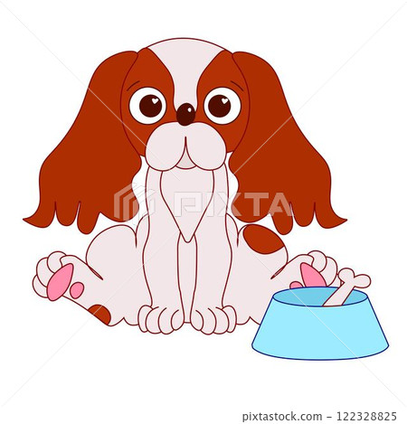 Dog with bowl and bone vector graphic line illustration. Cavalier king charles puppy spaniel Dog with bowl and bone vector graphic line illustration. Cavalier king charles puppy spaniel 122328825