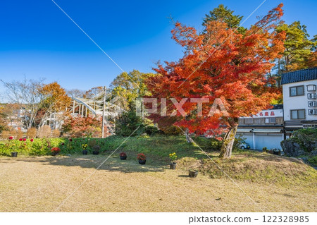 Autumn foliage at Tenryukyo Gorge, a scenic spot in Iida City (Nagano Prefecture) 122328985