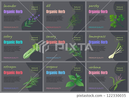 Herbal leaves icons. Organic herbs. Fresh lemongrass and dill. Natural plant product. Greengrocery food labels. Premium quality. Vegetarian ingredient. Vector design marketing banners set 122330035