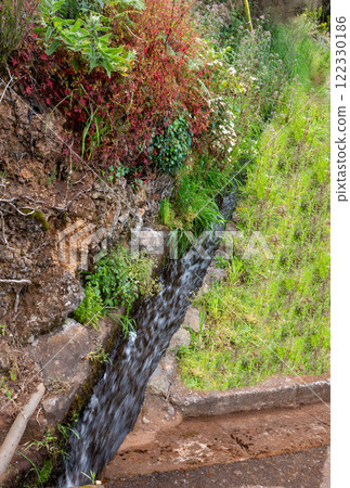 Levada lined by greenery, Madeira, Portugal 122330186