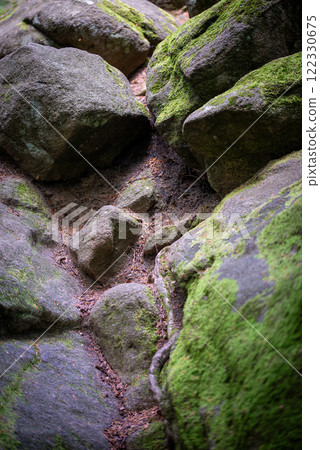 Devil's Stone in the Beskid Niski mountains. Magurski National Park in Poland. Devil's Stone in the Beskid Niski mountains. Magurski National Park in Poland. 122330675