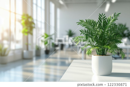 Indoor plant enhances workspace atmosphere in modern office during daylight hours 122330871
