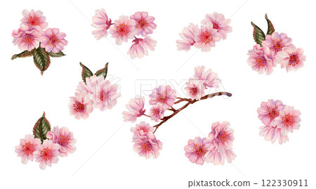 Pink cherry blossom branches for Japanese Hanami cherry blossom festival isolated on white background. Watercolor botanical template in lilac-pink color, in the sunrise palette. Watercolor template Pink cherry blossom branches for Japanese Hanami cherry blossom festival isolated on white background. Watercolor botanical template in lilac-pink color, in the sunrise palette. Watercolor template 122330911