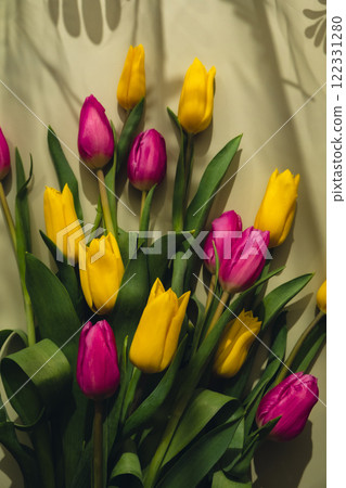 Bouquet of colorful tulips in pastel green background. Copy space for greeting card. Holiday flowers springtime Bouquet of colorful tulips in pastel green background. Copy space for greeting card. Holiday flowers springtime 122331280