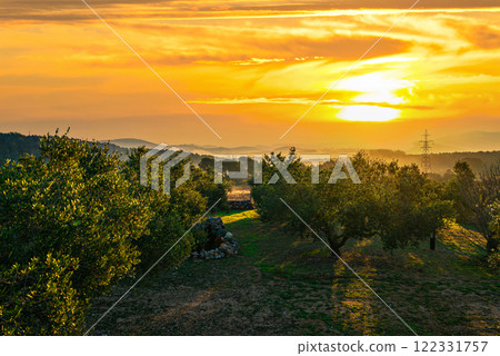 Beautiful sunset views from an olive grove in Canyelles, Barcelona 122331757