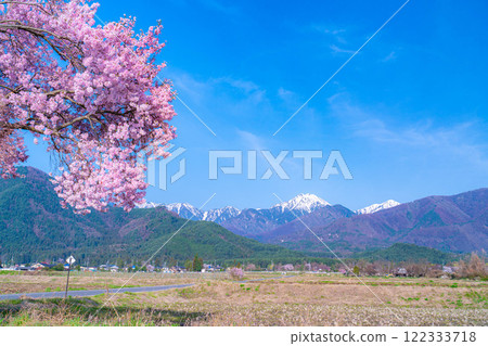 [Cherry Blossoms] Azumino City's spring scenery - Cherry blossoms at Jonen Dosojin Shrine [Nagano Prefecture] 122333718