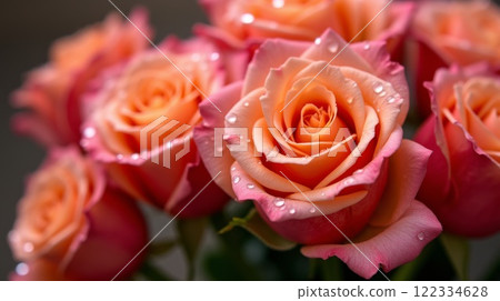 Macro View of a Stunning Red Roses Adorned with Dew Drops 122334628