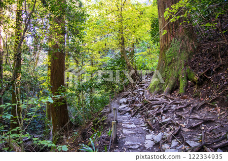 高尾琵琶瀧路線（國道6號） 登山路線 從第一橋到第二橋 11月下旬 122334935
