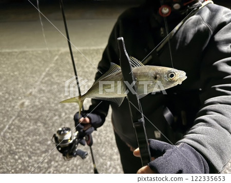 釣魚女孩夜間老化 釣魚女孩夜間老化 122335653