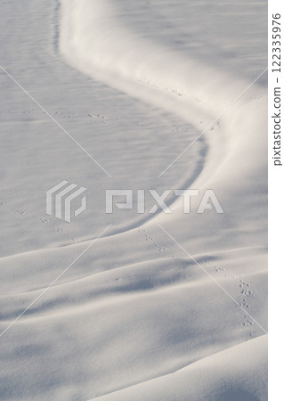 雪原裡的動物腳印（雲南市） 122335976