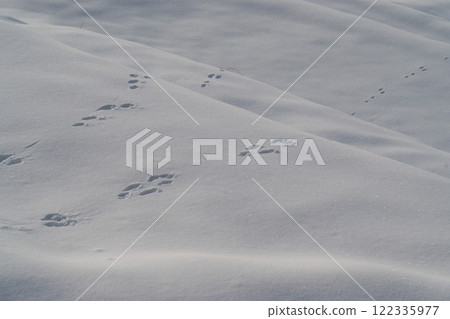雪中的腳印(雲南市) 雪中的腳印(雲南市) 122335977