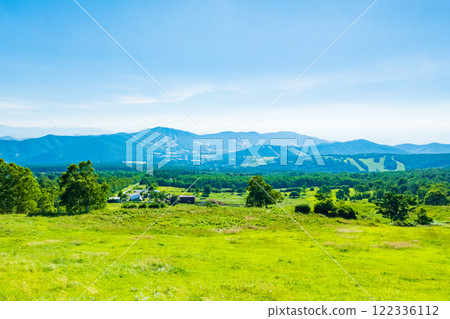 夏季攀登什葉派、貓山(菅平牧場) 夏季攀登什葉派、貓山(菅平牧場) 122336112