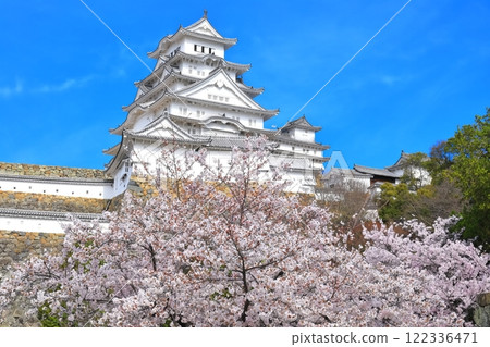 [Hyogo Prefecture] Himeji Castle in sunny weather and cherry blossoms in full bloom 122336471