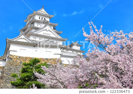 [Hyogo Prefecture] Himeji Castle in sunny weather and cherry blossoms in full bloom 122336473