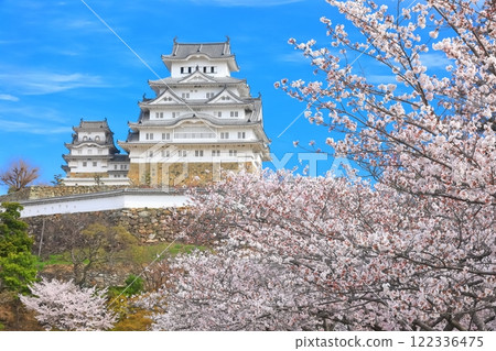 [兵庫縣]晴朗的天氣和櫻花盛開的姬路城 122336475