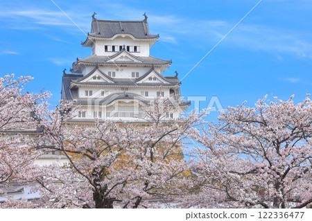 himeji castle, himeji jo, castle 122336477
