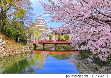 [兵庫縣] 姬路城內護城河和櫻花盛開的晴天 122336481