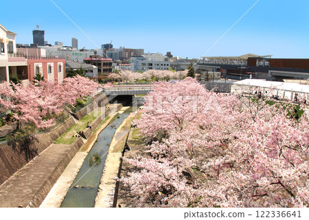 The station square and cherry blossom trees at the new Minoh Kayano Station on the newly opened Kita-Osaka Kyuko Railway 122336641