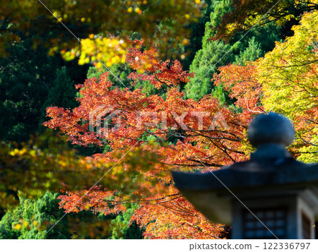 Beautiful autumn scenery in Japan: Stone lanterns and vibrant autumn leaves Beautiful autumn scenery in Japan: Stone lanterns and vibrant autumn leaves 122336797