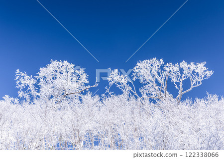 Rime forest 122338066