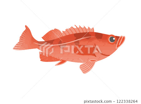 Alaska Pacific ocean perch 122338264
