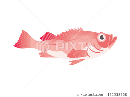 Atlantic redfish 122338268
