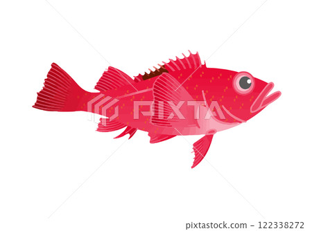 Kitschigi Kitschigi 122338272