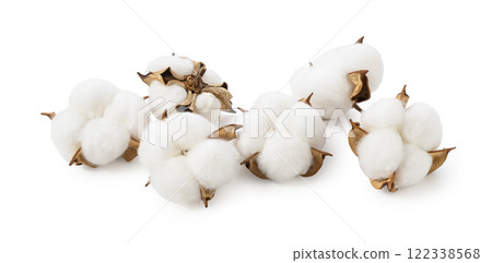 棉花 122338568