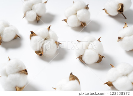 Cotton Cotton 122338572