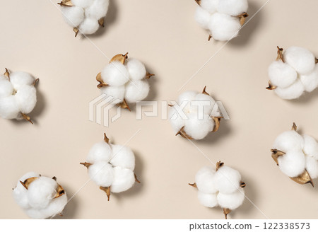 Cotton Cotton 122338573