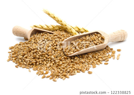 Wheat grain seeds spilling from two wooden scoops 122338825