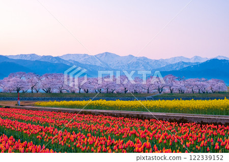 Asahi Funakawa Spring Quartet Asahi Funakawa Spring Quartet 122339152