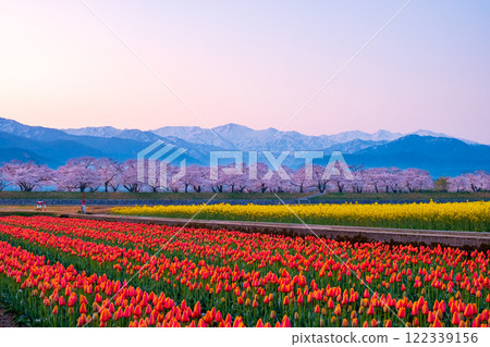 朝日船川春天四重奏 朝日船川春天四重奏 122339156