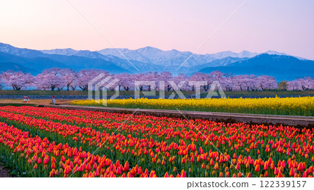 Asahi Funakawa Spring Quartet 122339157