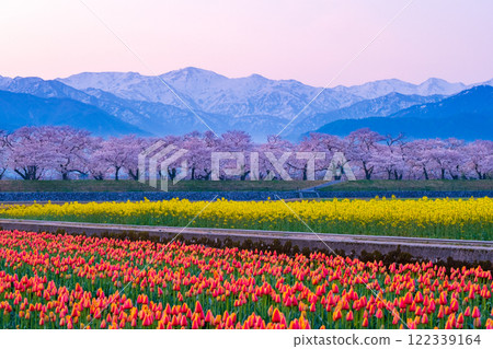朝日船川春天四重奏 朝日船川春天四重奏 122339164