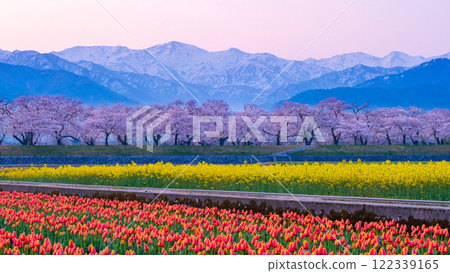 Asahi Funakawa Spring Quartet 122339165